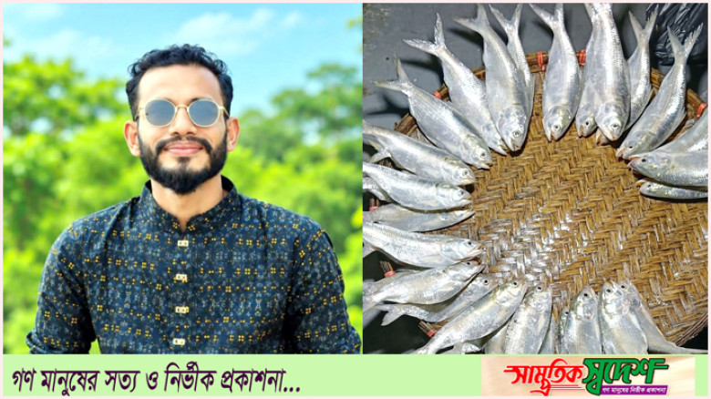 রামগতির মেঘনায় মা ইলিশ নিধনের মহোৎসব, নেপথ্যে ছাত্রদল নেতা জাহাঙ্গীর